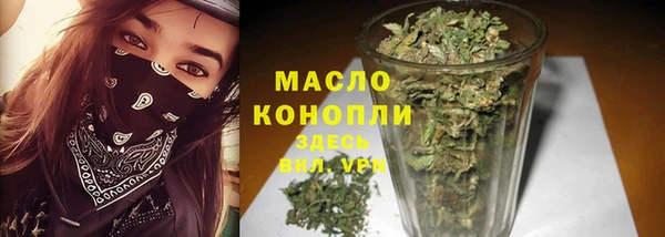 прущие грибы Няндома