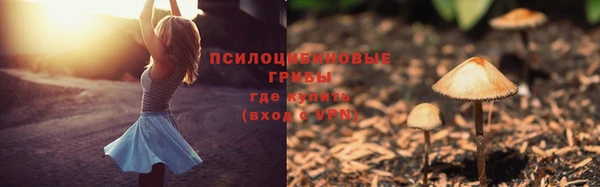 спайс Абинск