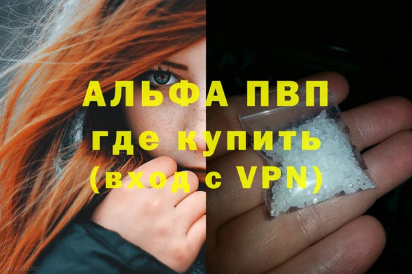 прущие грибы Няндома