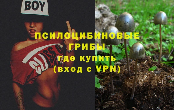 ешки Абдулино