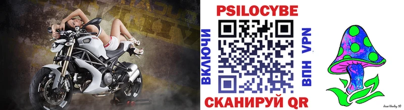Галлюциногенные грибы Psilocybine cubensis  площадка состав  Тбилисская 